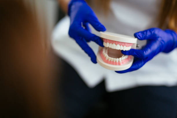 Professional Holistic Dental Care Services in Elyria, OH